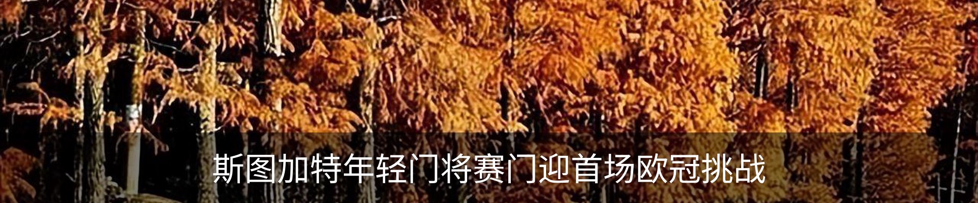 新闻动态